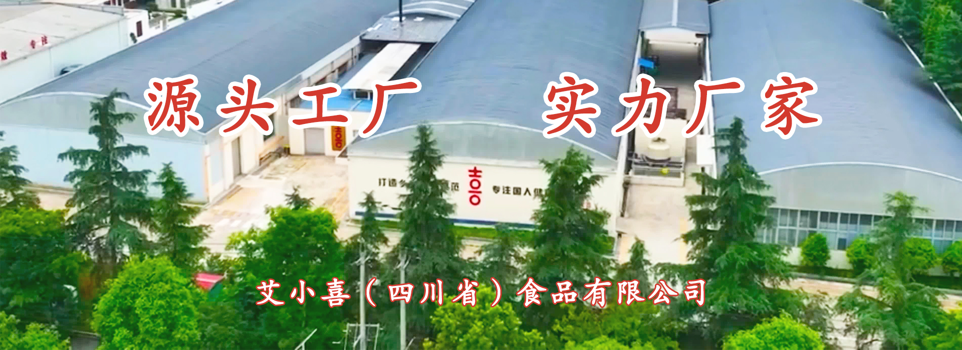 實力廠家